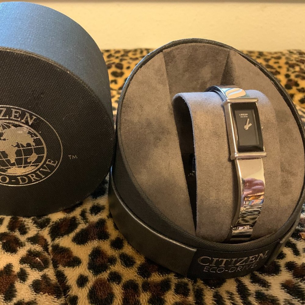 Citizens Eco-Drive Watch